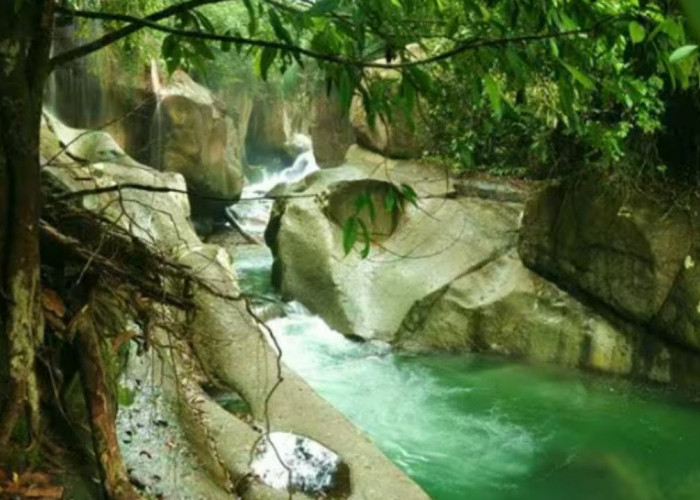 Ininih Keberlanjutan dalam Pariwisata Alam di Sumatera Barat Upaya Konservasi di Air Terjun Nyarai