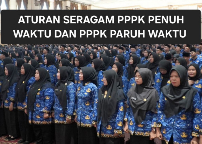 SUDAH SAH Ini Aturan Seragam PPPK Penuh Waktu dan Paruh Waktu Tahun 2026
