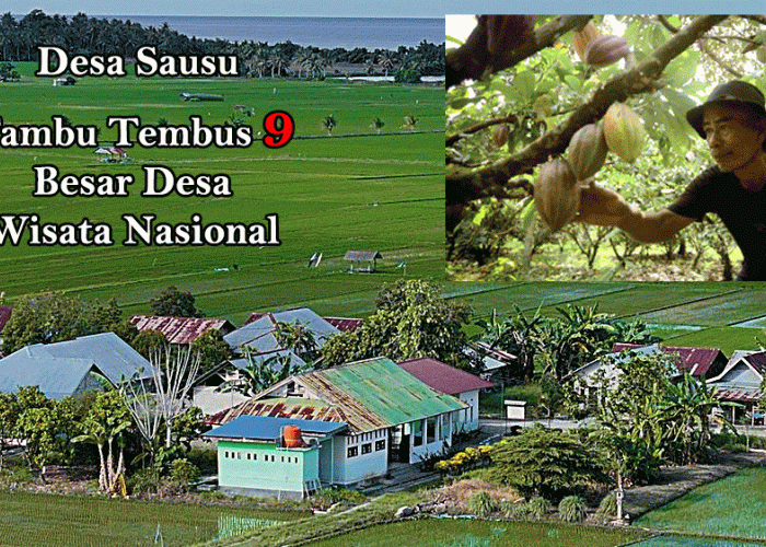 Desa Sausu Tambu Tembus 9 Besar Desa Wisata Nasional, Program Desa BRILiaN BRI Jadi Kunci Lompatan Ekonomi