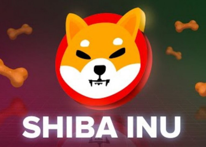Shiba Inu: Mencetak Rekor Baru dan Menuju Peluncuran Kedua Shibarium - Bagaimana Kondisi Terkini?