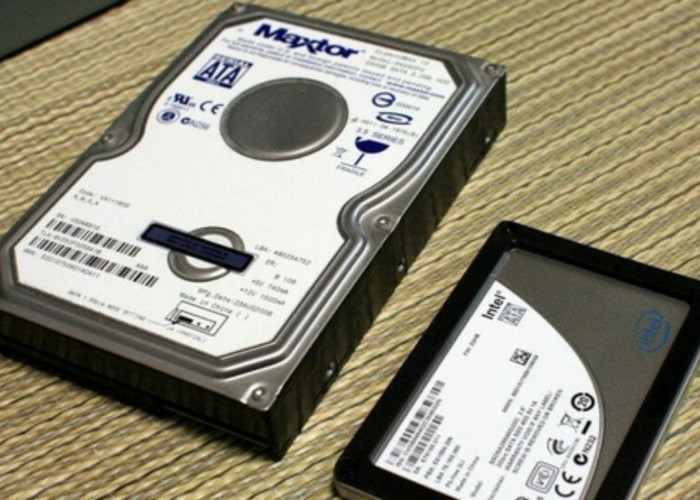 Pilih SSD atau HDD untuk Laptop Anda? Kekurangan & Kelebihan, Wajib Anda Ketahui Sebelum Membeli!