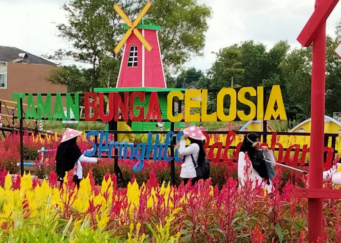 Pesona Keindahan Taman Instagramable di Kota Palembang: Ini Lokasi dan Spot Menariknya