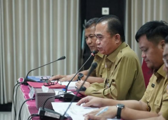Penjabat Bupati Banyuasin  Hani Syopiar Rustam, Ikuti Evaluasi Kinerja Triwulan II Terkait Program Ini! 