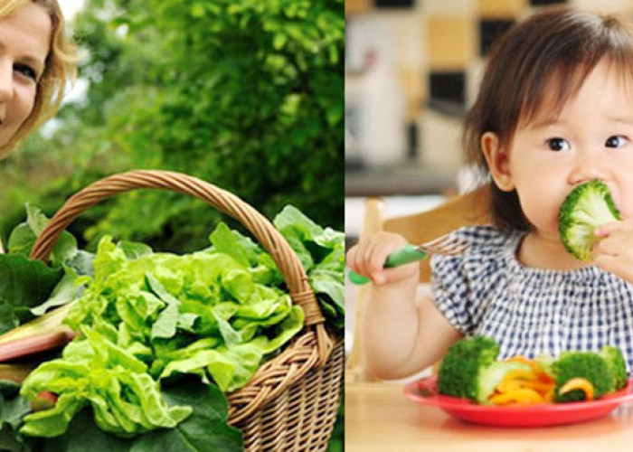 Sayuran Hijau: Asam Folat, Flavonoid, dan Vitamin untuk Fungsi Kognitif Anak