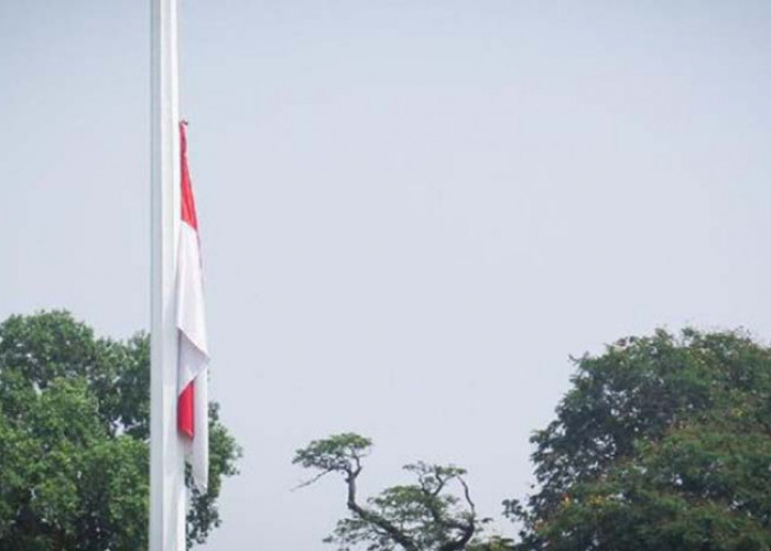 Pria Berani Panjat Tiang Bendera Demi Kibarkan Merah Putih Raih Penghargaan di Cianjur