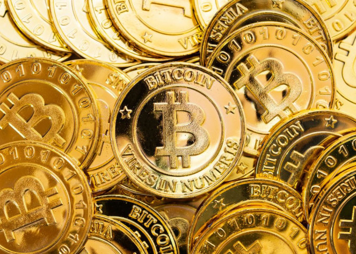 Cuan Besar nih Bos! Bitcoin Mencatat Lonjakan Harga Terbesar dalam Satu Hari