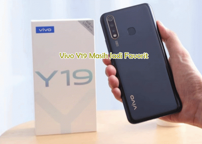 Vivo Y19 Masih Jadi Favorit! HP Terlaris dengan Layar Besar, Baterai Jumbo, dan Harga Bersahabat