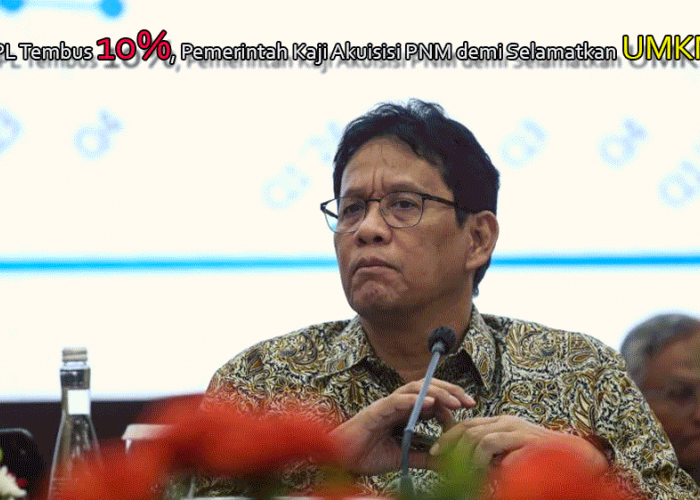 KUR 2026 Kritis! NPL Tembus 10%, Pemerintah Kaji Akuisisi PNM demi Selamatkan UMKM