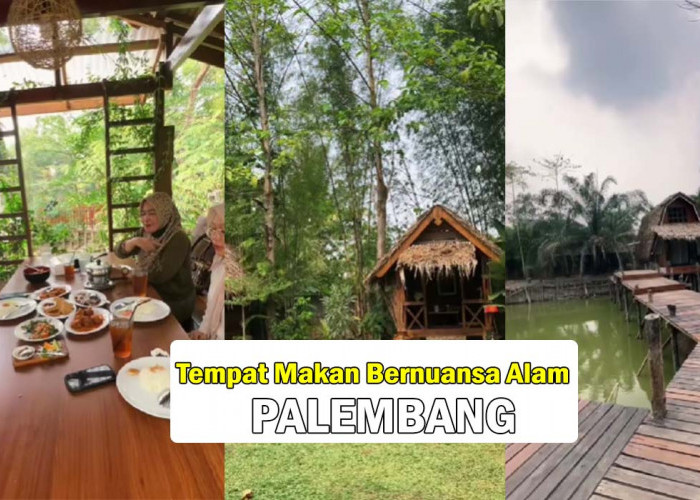 SERU! Rekomendasi Tempat Makan dengan Nuansa Alam di Palembang, Cek Rute dan Lokasinya yuk !