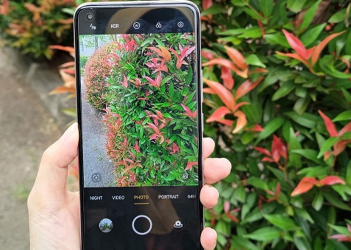 Jangan Biarkan Detail Hilang: AMOLED Hadirkan Gambar Gelap Lebih Jelas