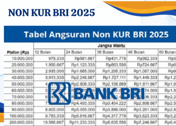 Pinjaman BRI Non KUR Tanpa Agunan 2025: Cicilan Ringan, Bunga 1 Persen per Bulan