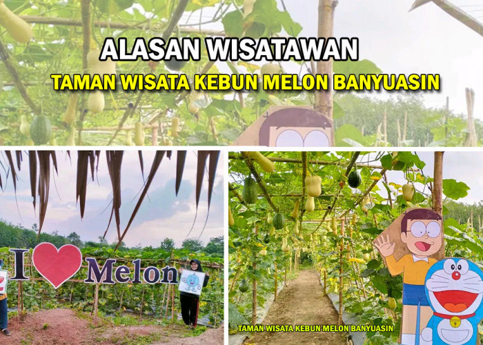 Alasan Wisatawan! Datang Ke Taman Wisata Kebun Melon di Banyuasin, Dekat Taman Kota Pangkalan Balai Lho!