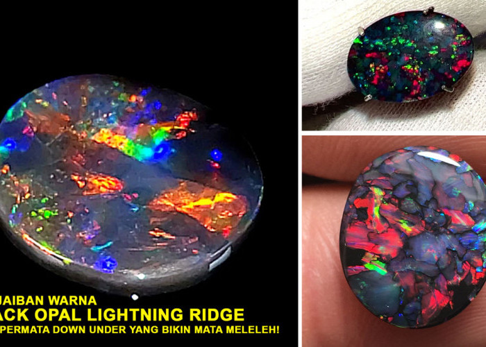 Ayo Intip Keajaiban Warna Black Opal Lightning Ridge: Batu Permata Down Under yang Bikin Mata Meleleh!