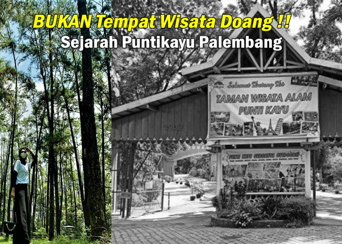 Jangan Tau Liburan Saja! Kenali Sejarah Taman Wisata Alam Punti Kayu Palembang, Ada Apa aja Ya!