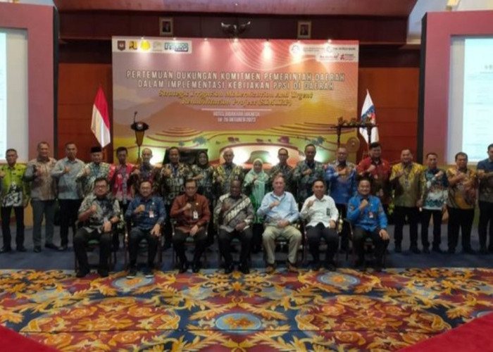 Inilah Alasan Kabupaten Banyuasin, Satu-satunya di Pulau Sumatera Penghasil Padi Terbesar