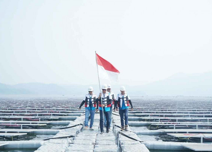 Dukung Pembangunan Berkelanjutan, Green Financing BRI Tumbuh Capai Rp89,9 Triliun