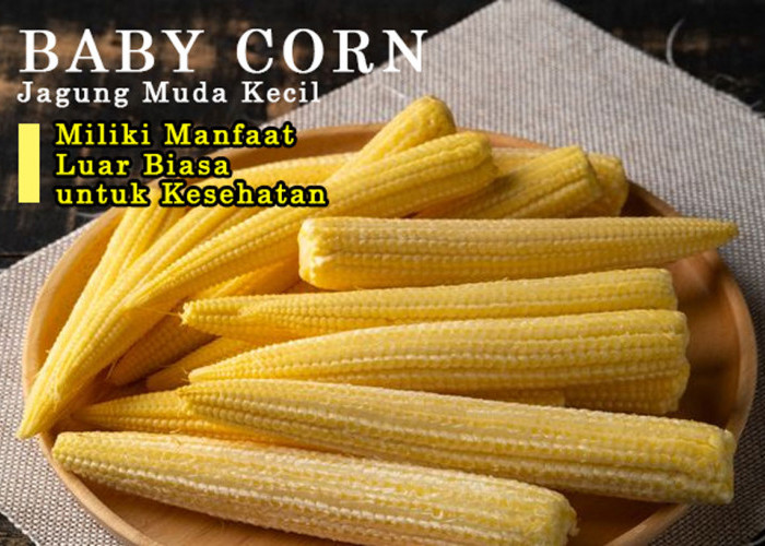 Baby Corn: Jagung Muda Kecil dengan Manfaat Luar Biasa, Jaga Berat Badan & Kesehatan Tubuh! Penasaran? Cek Ya!