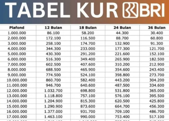 Cek Yuk! Inilah Waktu yang Tepat untuk Mengajukan KUR 2025: Kapan UMKM Bisa Mendapatkan Dana?