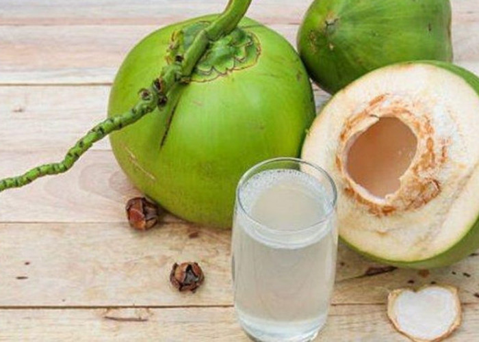 Air Kelapa: Solusi Alami untuk Rehidrasi dan Pencegahan Batu Ginjal!