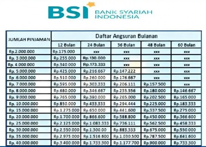 Pinjaman KUR BSI Rp30 Juta: Pembiayaan Mikro Tanpa Agunan untuk UMKM