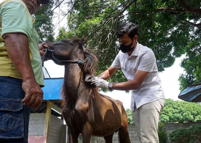 Jadi Ahli Konservasi Dadakan di Kebun Binatang Sriwijaya: Liburan Seru Sambil Lestarikan Satwa di Palembang!