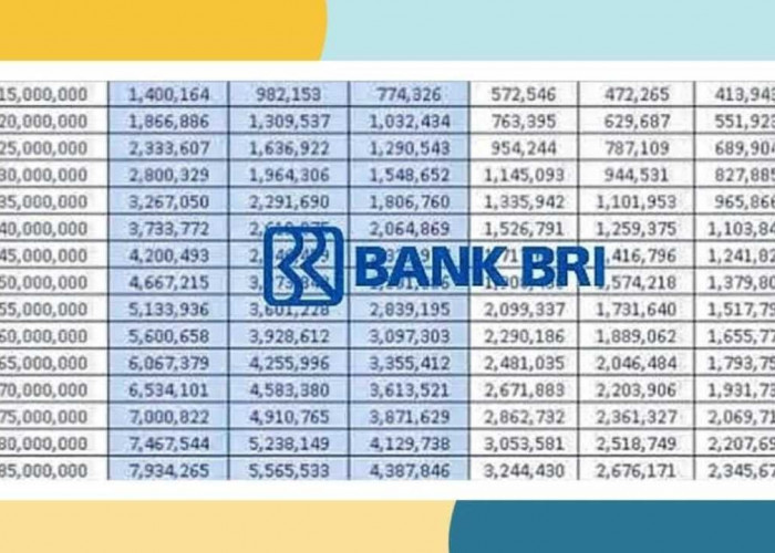 Perbandingan Pinjaman Non KUR BRI dan Bank Mandiri Tanpa Agunan Tahun 2025