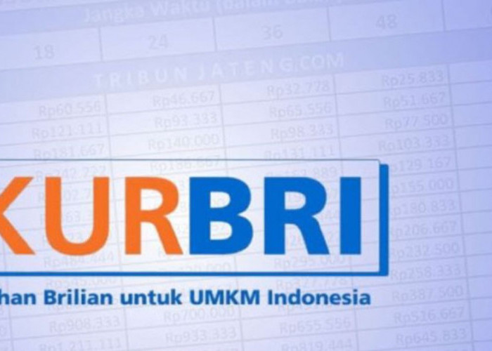 Kisah Sukses UMKM Bangkit dengan KUR BRI 2025: Dari Warung Kecil Jadi Bisnis Besar Lho!