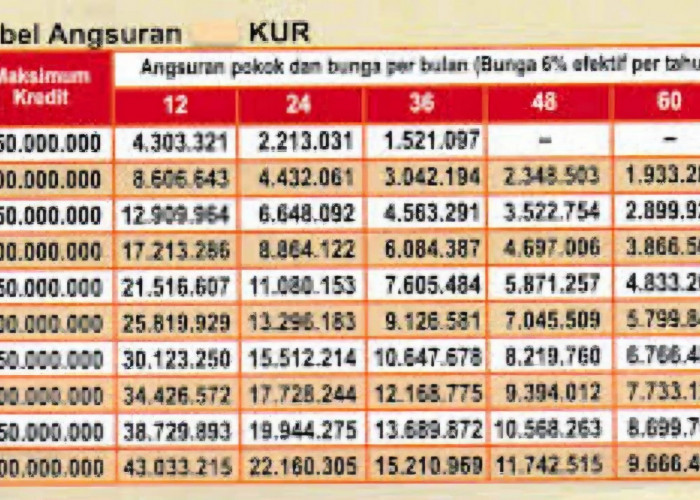 Cek Angsuran Pinjaman Rp200 Juta di BRI: Tenor Hingga 5 Tahun Bagi PNS dan PPPK
