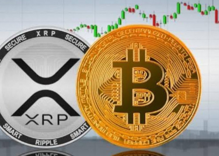 Koin Kripto Masih di Zona Merah? Berikut Analisis Kondisi Terkini di Dunia Cryptocurrency