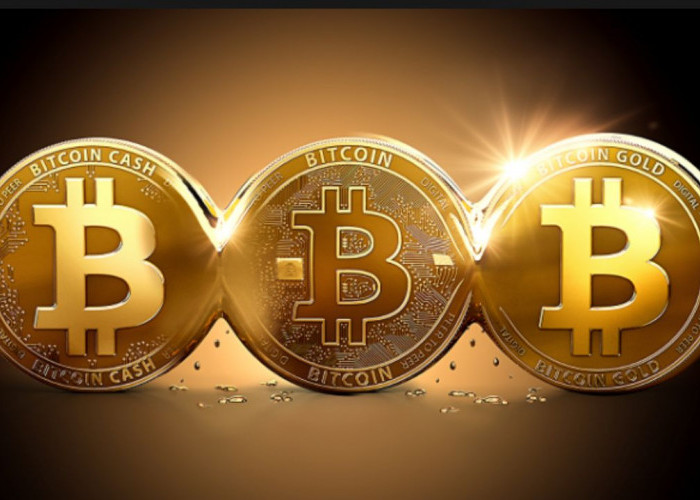 Bitcoin Kembali Meroket Hingga Belasan Persen! Cek Sekarang Sebelum Ketinggalan