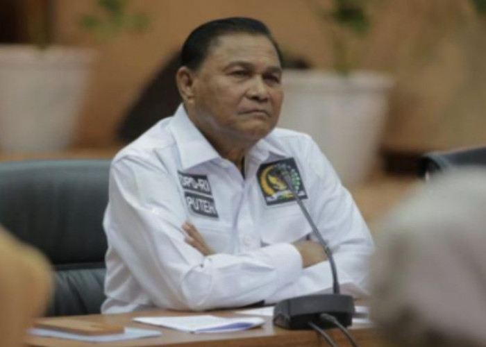 Wakil Ketua Komite II DPD RI Soroti Bahaya Judi Slot Yang Merajalela