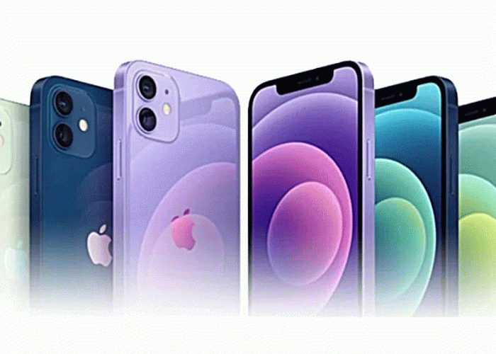 5 iPhone Berkamera Canggih untuk Konten Kreator 2025: Dari Pro Max Hingga Budget-Friendly