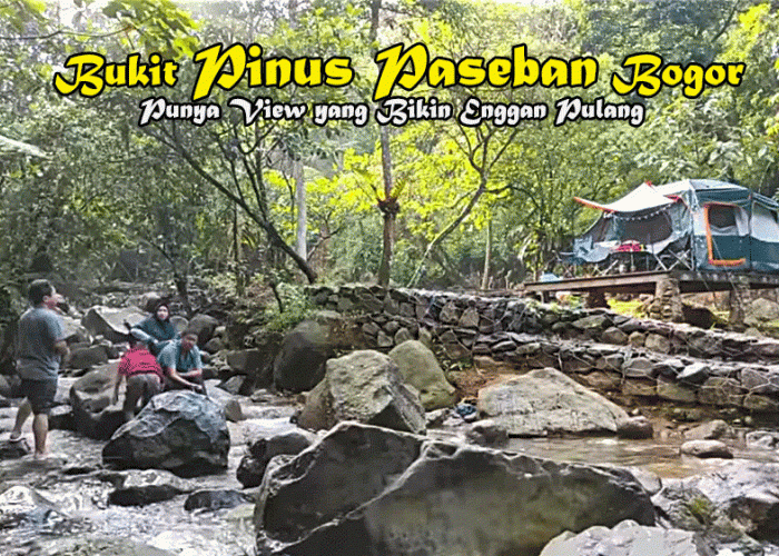 Cuma Modal Motor dan Tenda, Bukit Pinus Paseban Bogor Punya View yang Bikin Enggan Pulang