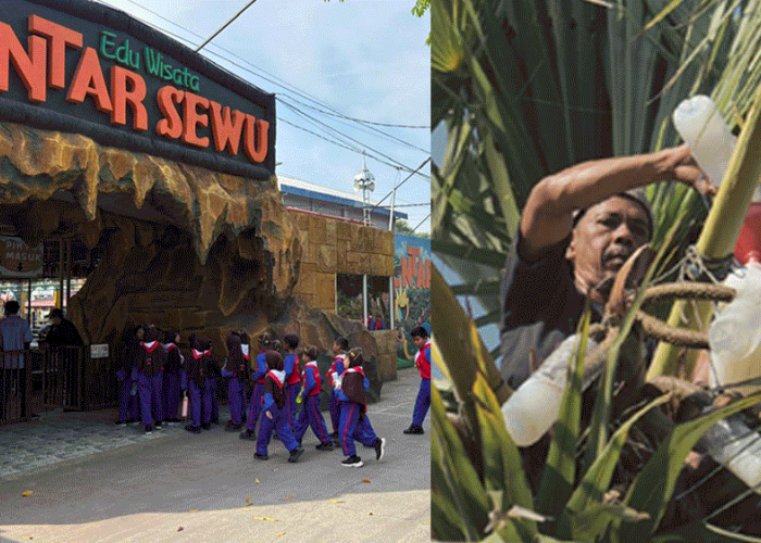 Desa Hendrosari Melejit! UMKM Tumbuh Pesat, Ekonomi Desa Melaju Berkat Program Desa BRILiaN