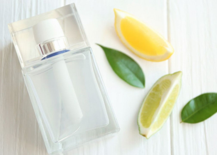 Eksplorasi Aroma Citrus: Pilihan Parfum yang Segar dan Energetik untuk Pria Aktif