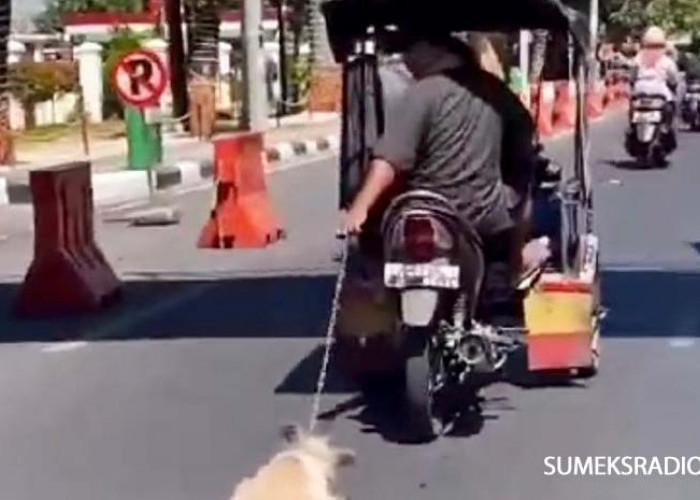 Polisi Makassar Sedang Menyelidiki Video Viral Pengemudi Becak Motor yang Menyeret Anjing Peliharaan