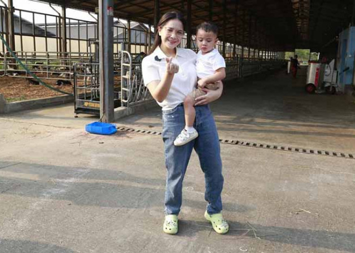 Nagita Slavina Ajak Cipung, Saksikan Langsung Proses Produksi Susu di Peternakan MilkLife