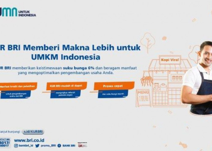 Inilah Pendampingan UMKM dalam Program KUR 2025, Kunci Sukses Bertahan dan Berkembang!