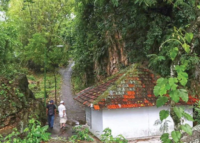 Bukit Surowiti: Tempat Nongkrongnya Wali Songo dan Spot Camping Mistis Anti Mainstream!