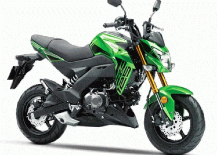 Kawasaki Z125 Pro 2025: Motor Mini Rasa Big Bike, Gaya Garang untuk Rider Urban