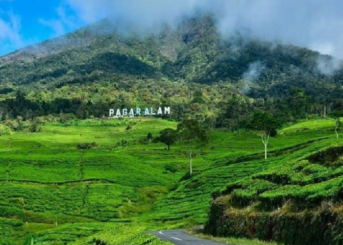 Rekomendasi Itinerary 3 Hari Menjelajahi 10 Destinasi Wisata Sumsel: Liburan Panjang Mei 2025 Lebih Seru!
