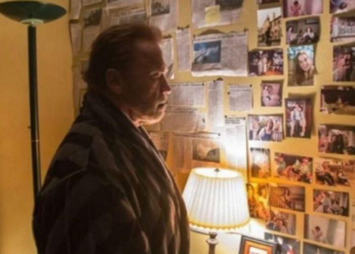 Tragedi Kecelakaan Pesawat Überlingen: Sinopsis Film 'Aftermath' dengan Arnold Schwarzenegger