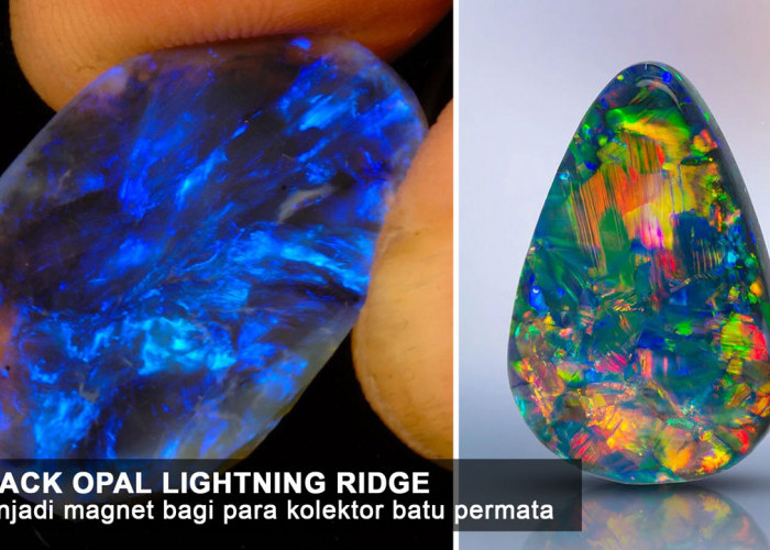 Black Opal Lightning Ridge Batu Permata Paling Cool di 2024 yang Bikin Kolektor Terpana!