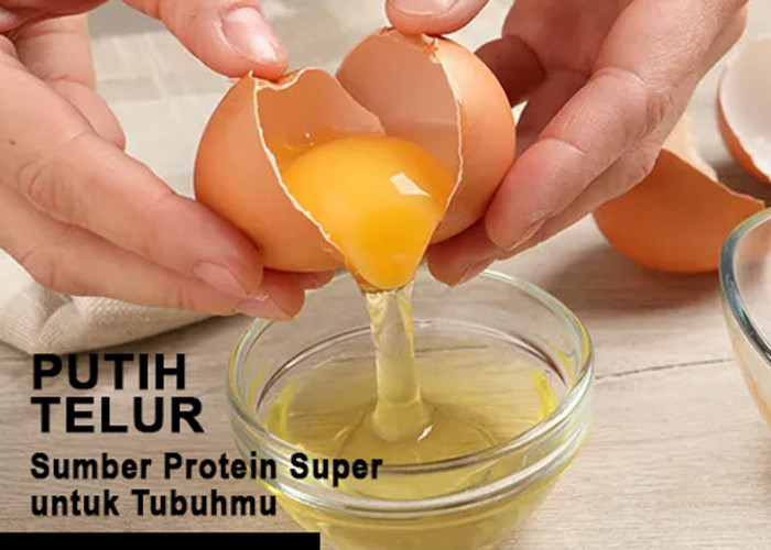 Putih Telur: Sumber Protein Super untuk Tubuhmu! Kenali Manfaatnya Bikin Kamu Makin Fit dan Fresh!