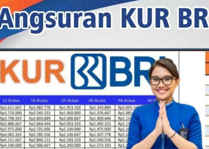 Syarat & Cara Daftar KUR BRI 2025: Pinjaman Mudah Pakai KTP dan KK!