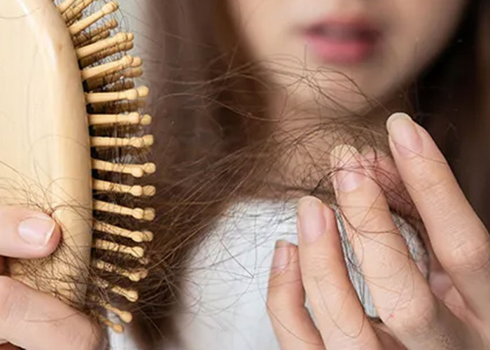 Mitos dan Fakta: Panduan Memilih Sampo untuk Mengatasi Rambut Rontok dengan Tepat