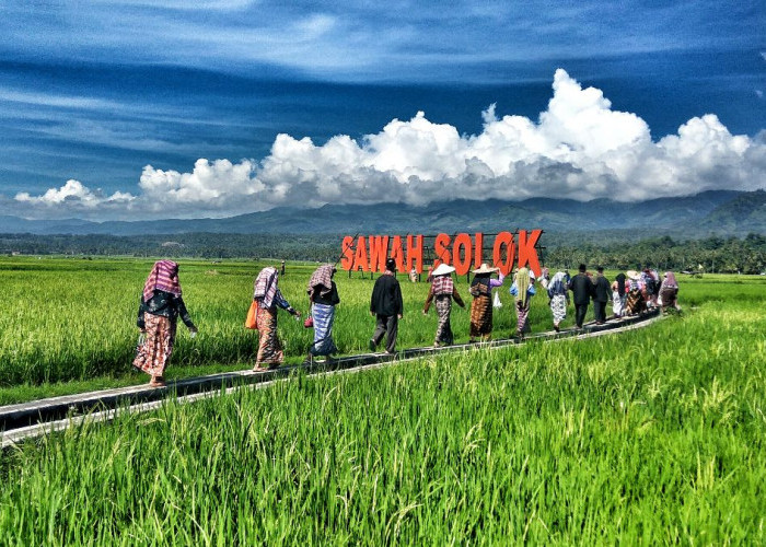 Bareh Solok! Kelezatan Beras yang Menjadi Salah-satu Ikon Budaya Sumatera Barat