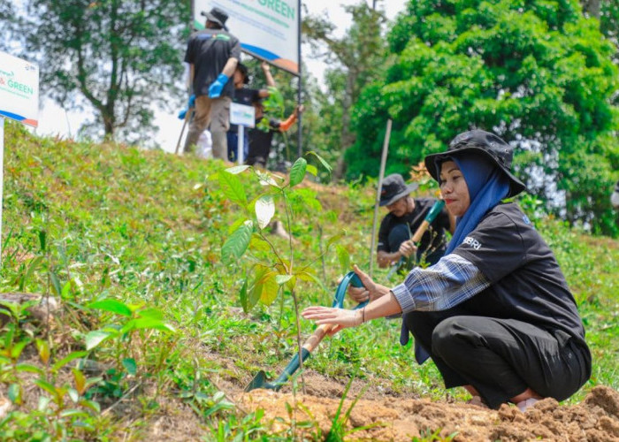 BRI Menanam: Kolaborasi Selamatkan Hutan dan Tingkatkan Kesejahteraan Masyarakat