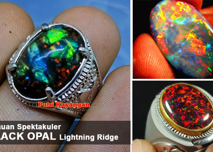 Kilauan Spektakuler Black Opal Lightning Ridge: Menyelami Keajaiban Alam dalam Batu Permata Paling Hits 2024!