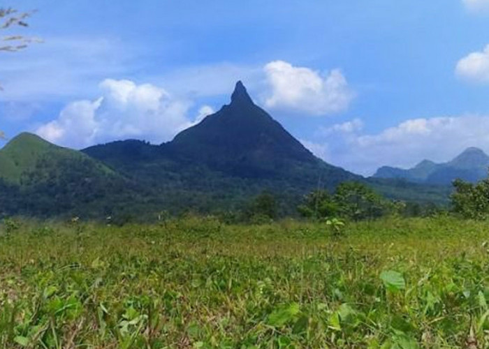 Pesona Bukit Jempol, Destinasi Alam Eksotis di Kabupaten Lahat